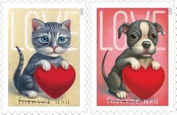 ❤️dear❤️ 41fugV2p6GL._UF350,350_QL80_.jpg